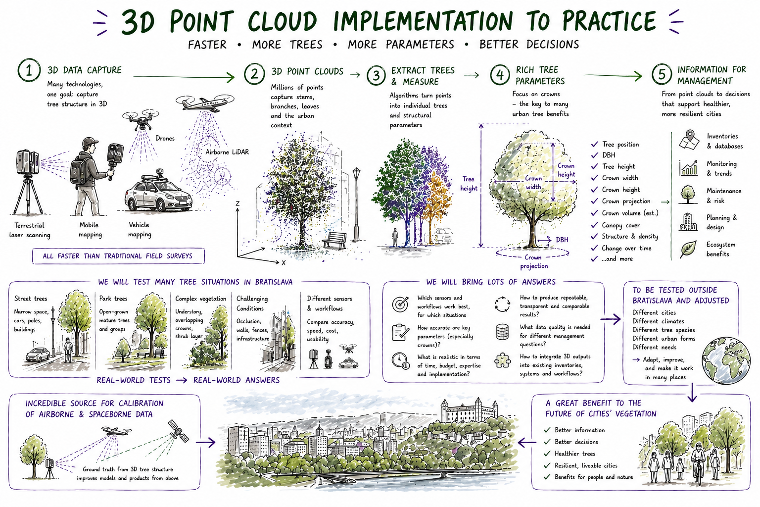 Sketch showing how 3D point clouds can be implemented in practical urban tree management
