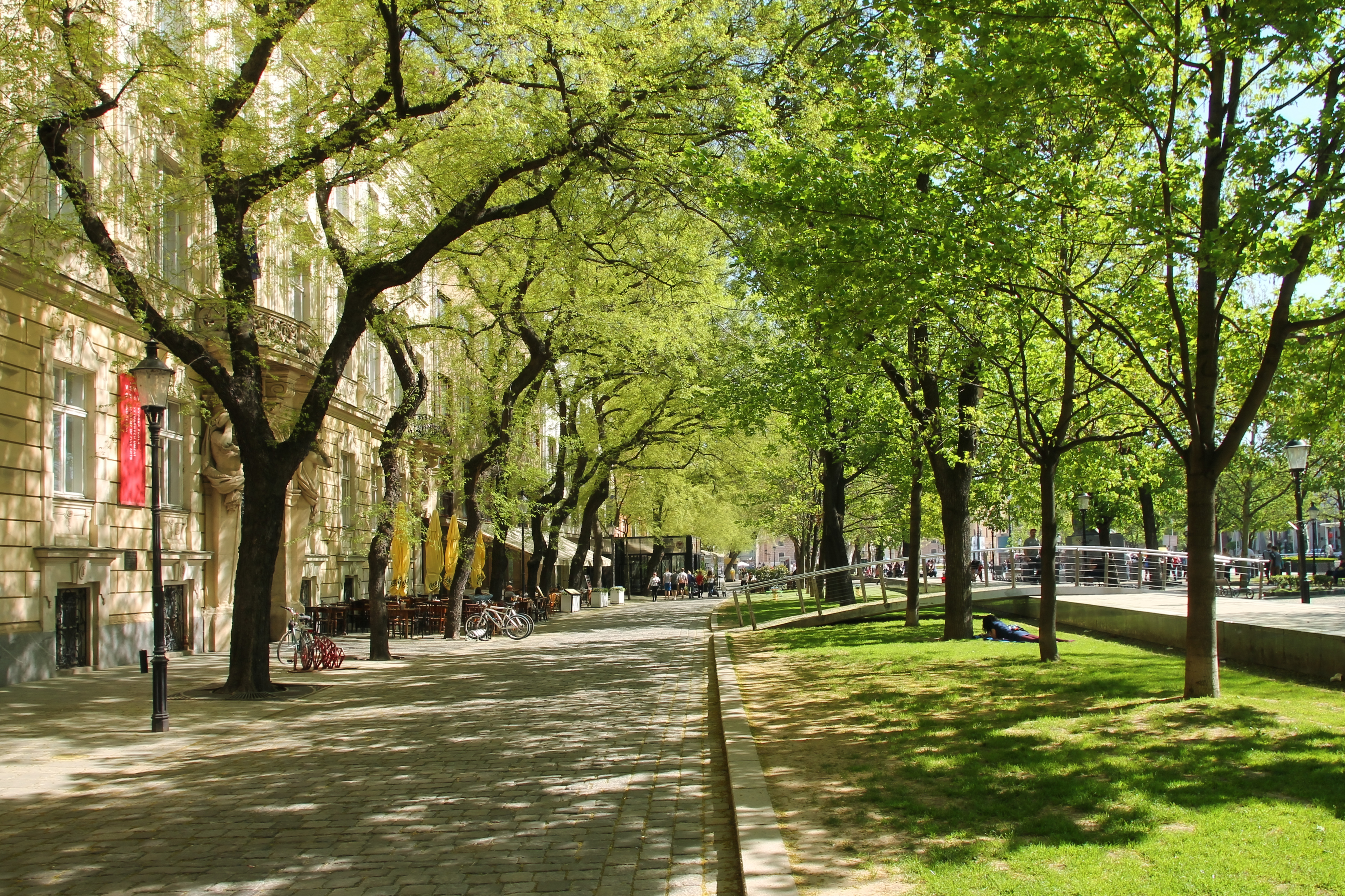 Urban tree management