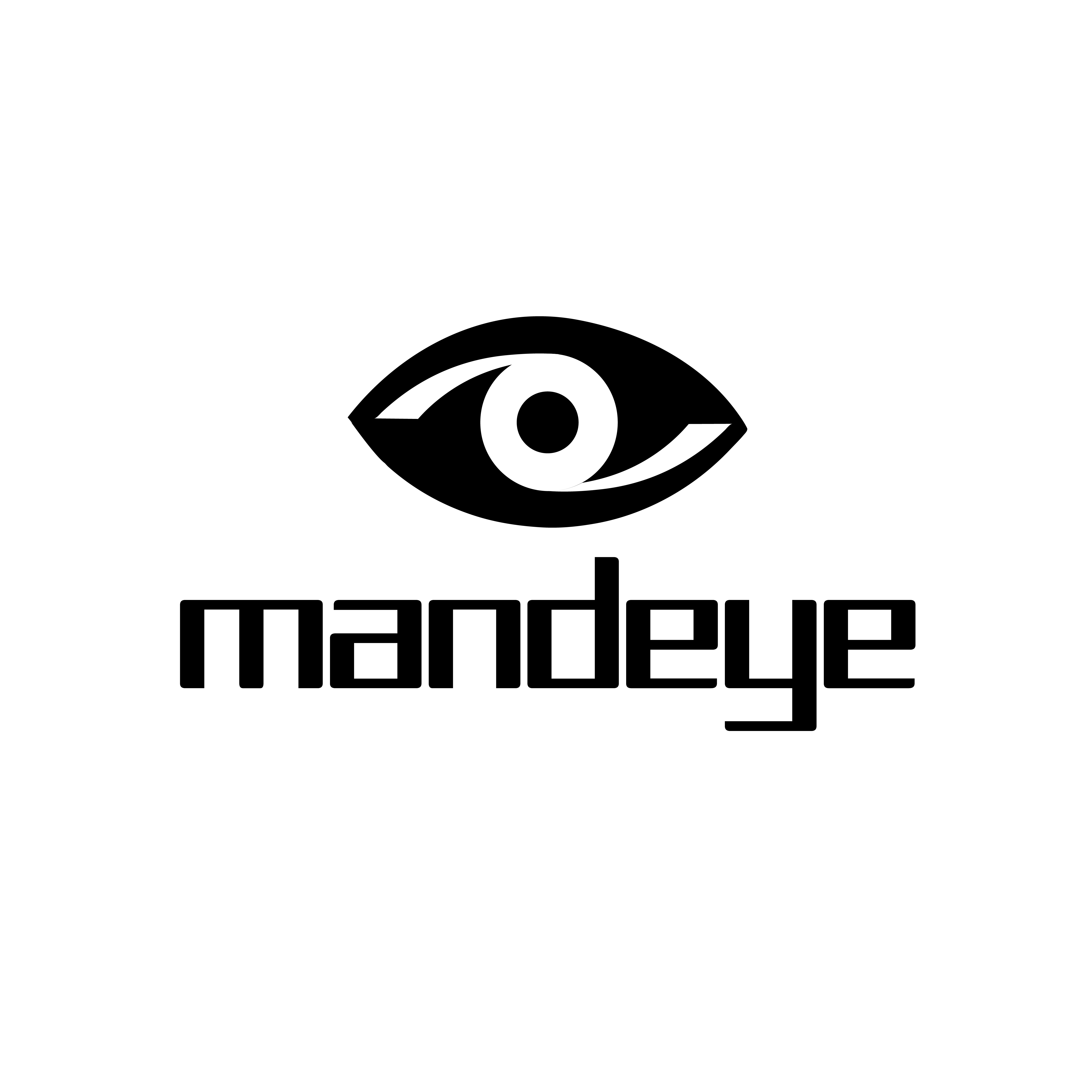 Mandeye logo